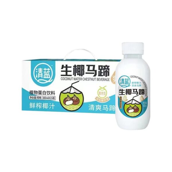 Qinglan Coconut & Water Chestnut Plant-Based Drink – 380ml × 15 Bottles (Carton)