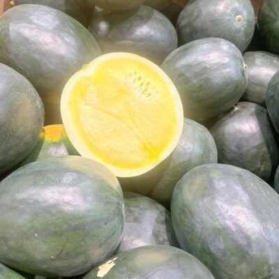Yellow-Flesh Watermelon (Green Rind) – 4-5 kg - Whole Yellow Watermelon Fruit