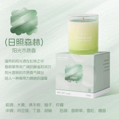Airguard “Forest Sunlight” Scented Candle – 100g