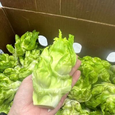 Baby Lettuce Shoots (Er Cai) – Approx. 500g