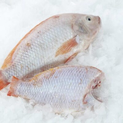 Frozen Red Tilapia (Headless, Gutted & Scaled) – Whole Cleaned Fish 800–900g