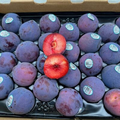 Midnight Rose Dinosaur Egg Pluots – 4 Pieces