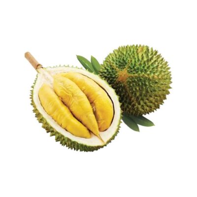 Frozen Musang King Durian D197 (Net Bag) – Whole Fruit 2.8–3kg - Malaysian Mao Shan Wang "King of Fruits"