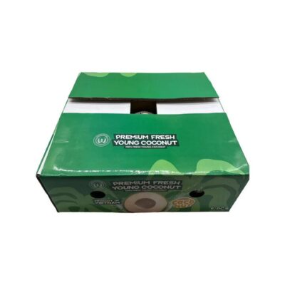 Vietnam Premium Large Young Coconuts – Box of 9 - Fresh Drinking Coconuts