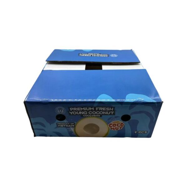 Coco Press Premium Easy-Open Young Coconuts (Large) – Box of 9