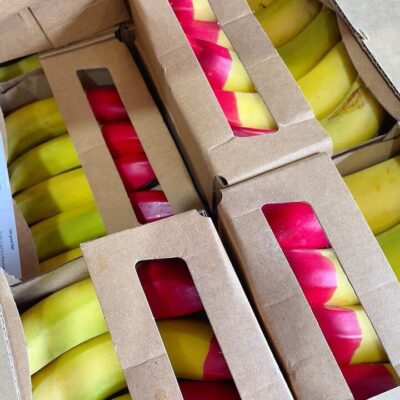 Eco Bananas Certified Ecoganic Baby Bananas – Approx. 500 g Pack - Lady Finger Bananas